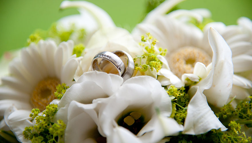 Weisgoldene Eheringe liegen auf Magaritenblüten. Auf dem  Ring der Braut sind 5 Brillianten in einer Reihe eingearbeitet.